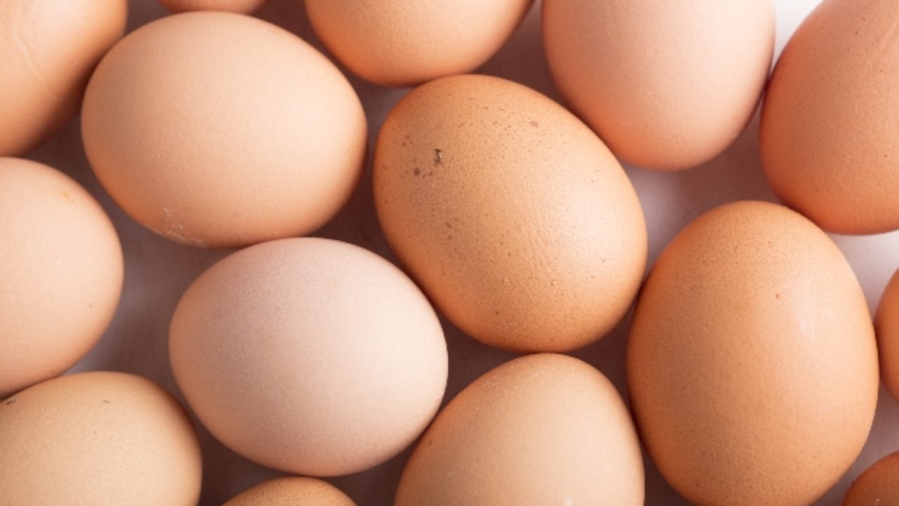 賞味 生 期限 卵 卵を生食できる期限って？賞味期限切れの生卵は危ない？